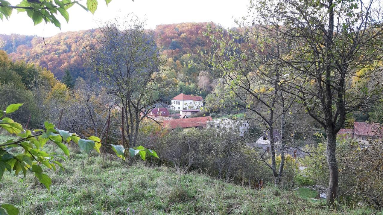 Penzion Pri Studnicke Omastina Zewnętrze zdjęcie