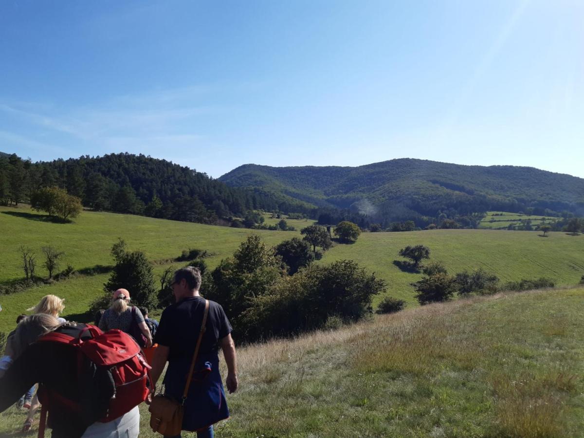 Penzion Pri Studnicke Omastina Zewnętrze zdjęcie